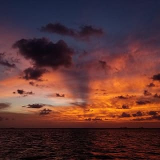 Castaway the Day: Miami Sunset Sail mit Champagne 7