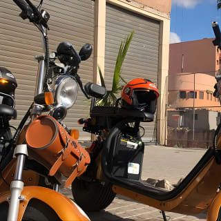 Location de vélo à Marrakech par : Passe au vert 8