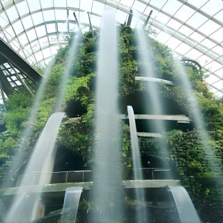 Flower Dome & Supertree Observatory 8