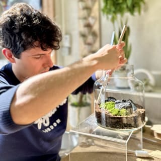 Crea tu propio terrario eterno - Madrid 5