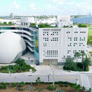Phillip & Patricia Frost Museum of Science, Acquario & Planetario: biglietto d'ingresso 4