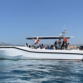 Visit to the Cliff Caves in the Palma Marine Reserve and Snorkeling 6