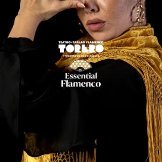 Essential Flamenco: La Experiencia Flamenca más auténtica de Madrid - Tarjeta Regalo 4
