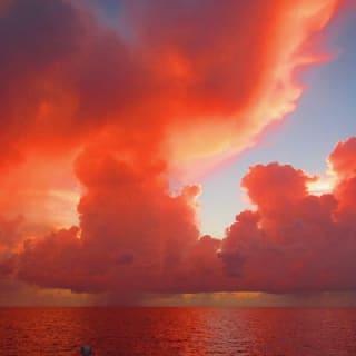 Castaway the Day: Miami Sunset Sail mit Champagne 11