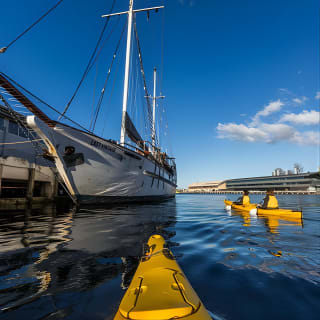 Hobart Kayak Tour 5