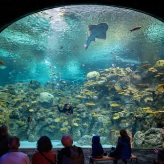 Seattle Aquarium: Entry Ticket 20