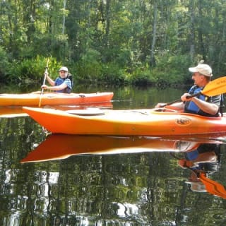 Lofton Creek Kayaking Trip with Professional Guide 6