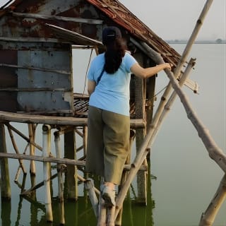 Walk the Kolkata Wetlands: Green Eye Candy 3