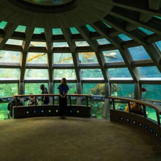 Seattle Aquarium: Entry Ticket 25