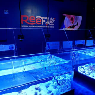 Phillip & Patricia Frost Museum of Science, Acquario & Planetario: biglietto d'ingresso 8