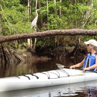 Lofton Creek Kayaking Trip with Professional Guide 8