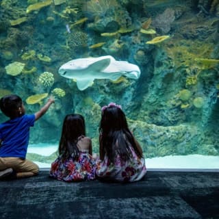 Seattle Aquarium: Entry Ticket 28