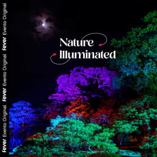 Nature Illuminated: The Harmony of the Seasons - Waitlist 3