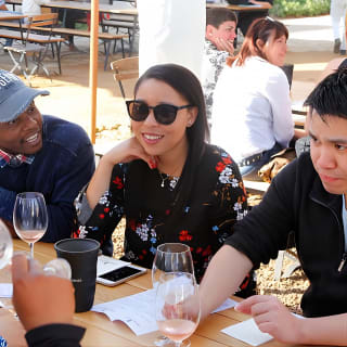 Wine Tour: Paarl, Franschhoek & Stellenbosch incl 3 wineries 9