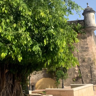 Bacardi Rum Distillery and Old San Juan Tour 13