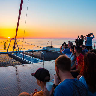 Avvistamento dei delfini a Maiorca con Click Mallorca 2