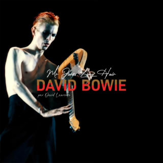 David Bowie, Mr Jones' Long Hair - par David Lawrence 1