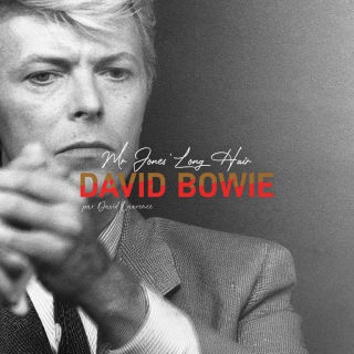 David Bowie, Mr Jones' Long Hair - par David Lawrence 2