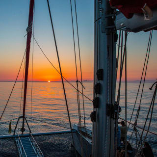 Avvistamento dei delfini a Maiorca con Click Mallorca 3
