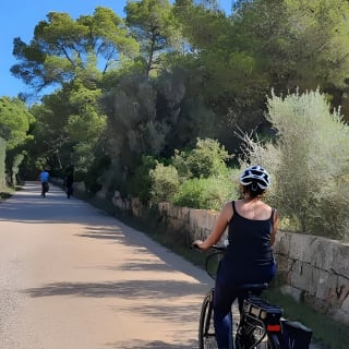 Half-day e-bike tour to the oldest market on the island 6