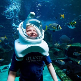 Dubai Atlantis: Aquaventure Waterpark + Shark Safari o experiencia de snorkel 1