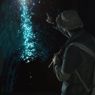 Hinterland Magic & Glow-worm Experience 5