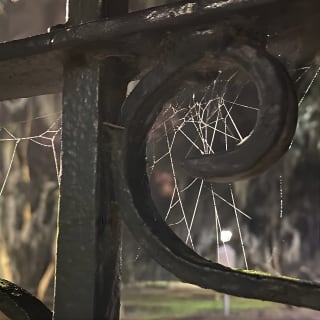 Savannah Ghost Tour for Adults ALL Alcoholic Drinks Included 5