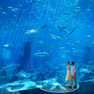 Dubai Atlantis: Aquaventure Waterpark + Shark Safari o experiencia de snorkel 2