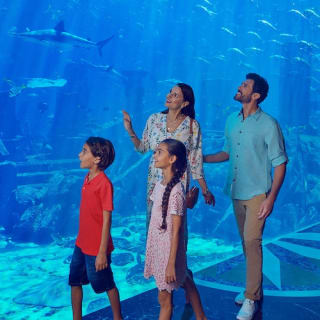 Dubai Atlantis: Aquaventure Waterpark + Shark Safari o experiencia de snorkel 3