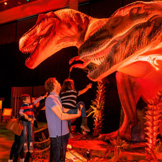 Dino Safari: Una aventura para recorrer caminando 5