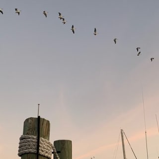 Tramonto al Mito del Mare 21