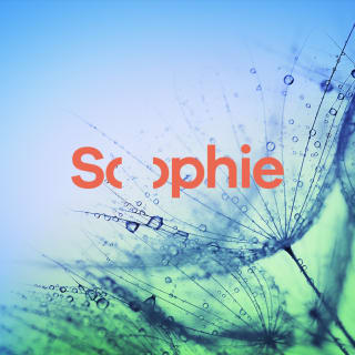 Sophie Festival: música underground y naturaleza en la Costa del Sol 2