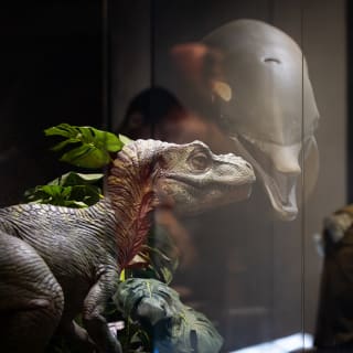 Museo del cinema e miniatura - Carta regalo 8