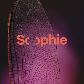 Sophie Festival: música underground y naturaleza en la Costa del Sol 3
