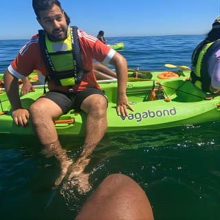 Cape Town Sea Kayaking Adventure launching from V&A Waterfront 8