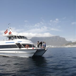 Cruise and Dine Dinner / Cape Town: Sunset Champagne Cruise and 3-Course Dinner 5