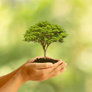 Día mundial del medioambiente 11 1