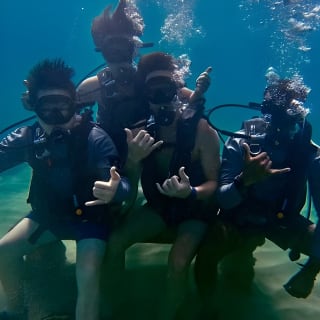 Beginner Scuba Diving with Turtles and Free Videos, San Juan 9