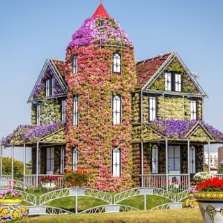 Dubai Miracle Garden 1
