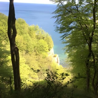 Møns klint og Skovtårnet - En dagstur fra København 14