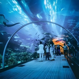 Dubai Aquarium with Glass bottom boat tour 2