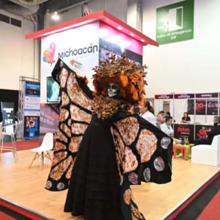 IBTM 2026 6