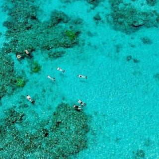 ABC Snorkel Charters Port Douglas Snorkelling max 12 passengers 7