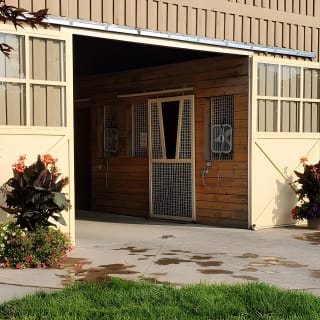 Unique Horse Farm Tours with Insider Access to Private Farms 5