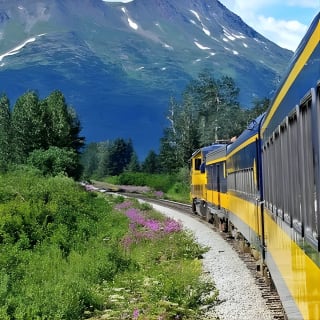 Alaska Railroad Anchorage to Seward Round-Trip Same Day Return 4