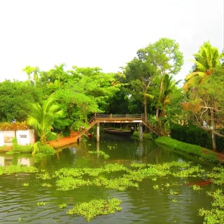 Cochin Shore Excursions from Cruise Terminal 5