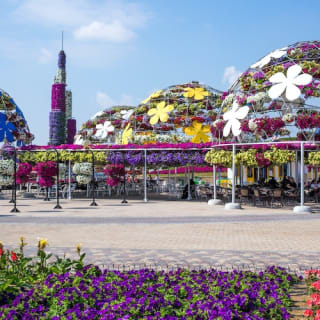 Dubai Miracle Garden 2