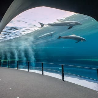Acquario di Genova: Ingresso riservato 8