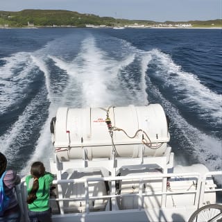 Fastnet Rock Lighthouse & Cape Clear Island tour departing Baltimore. West Cork. 6