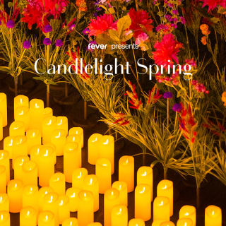 Candlelight Spring: Tribute to Adele 5